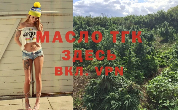 дживик Сясьстрой