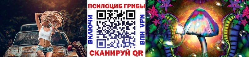 как найти закладки  Усмань  гидра ССЫЛКА  Псилоцибиновые грибы прущие грибы 